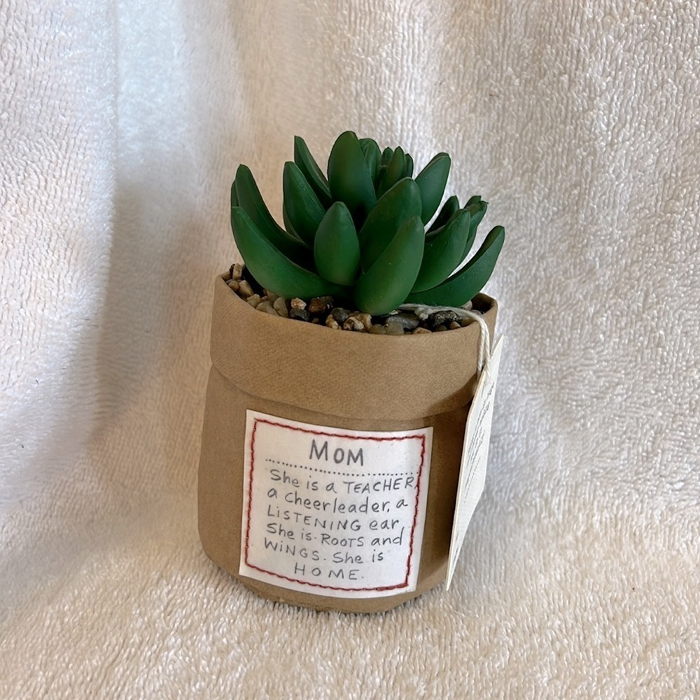 Mom plant
